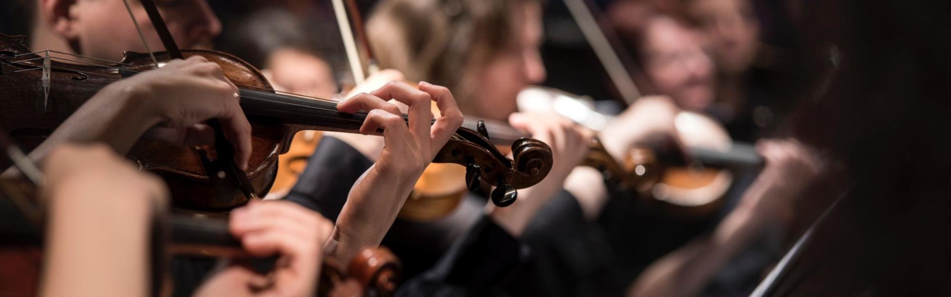 larisa-birta-slbOcNlWNHA-unsplash larisa-birta-slbOcNlWNHA-unsplash